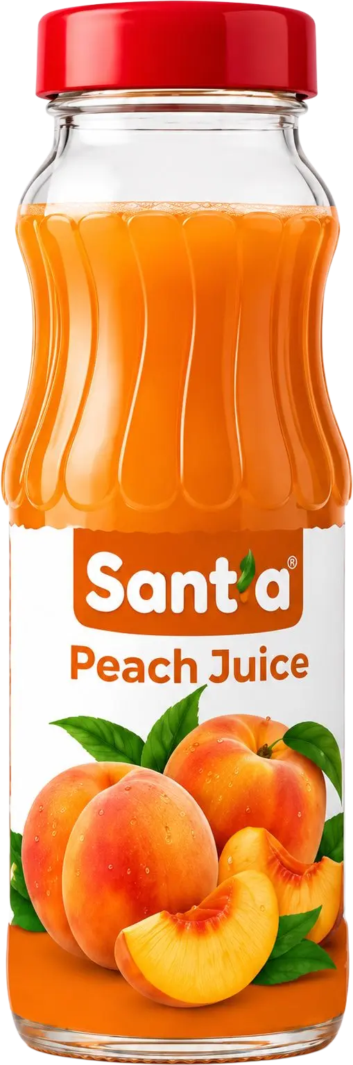 Sant'a Fruit Nectar Peach 250 ml glass